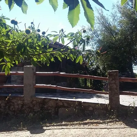 La Simona Casa Rural Perales del Puerto Esterno foto