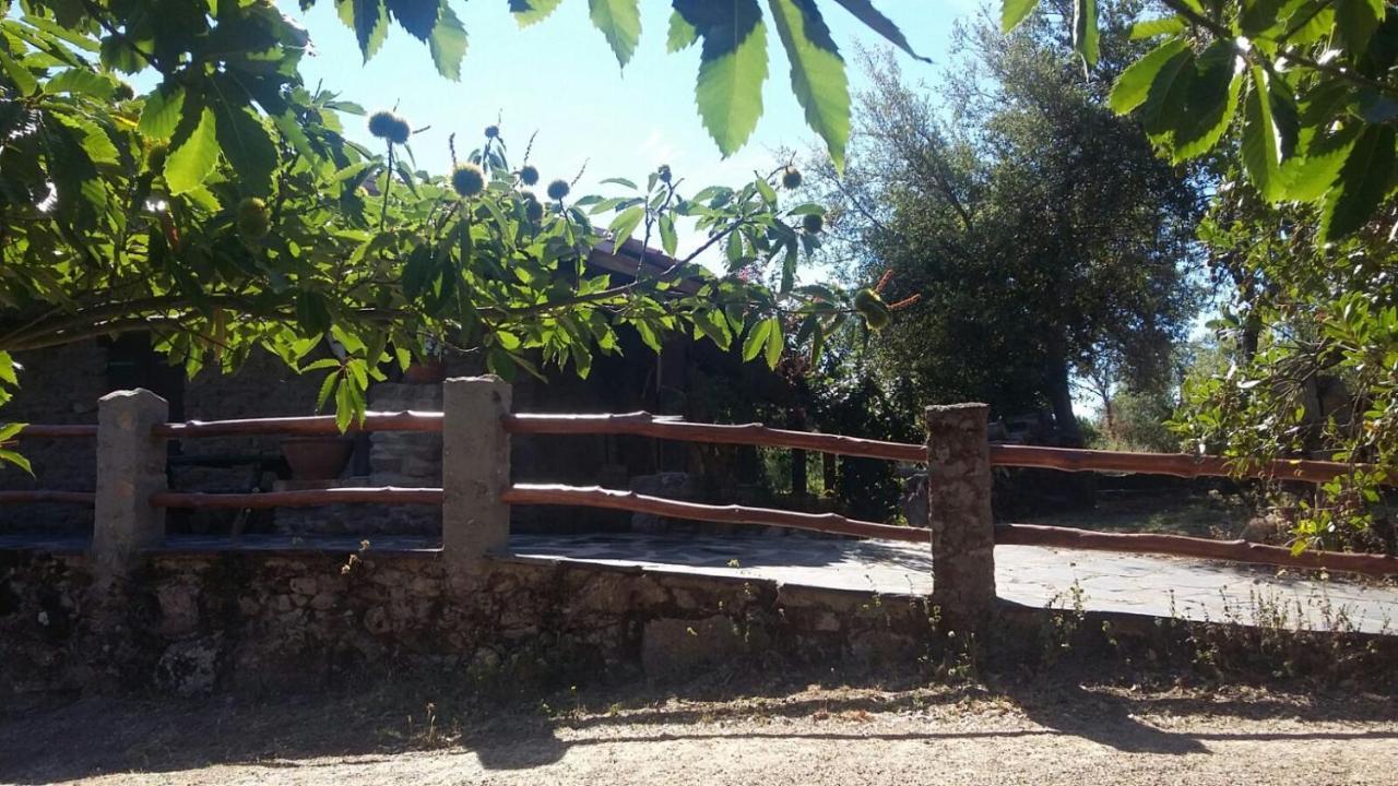 La Simona