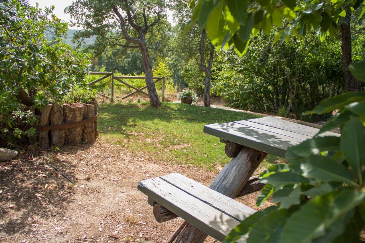 La Simona Holiday home