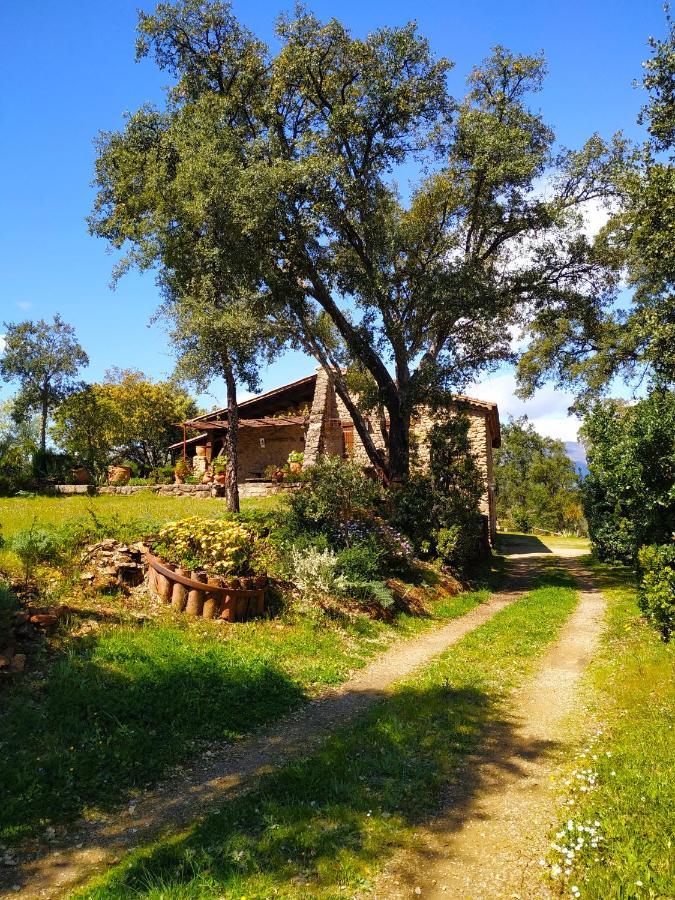 La Simona