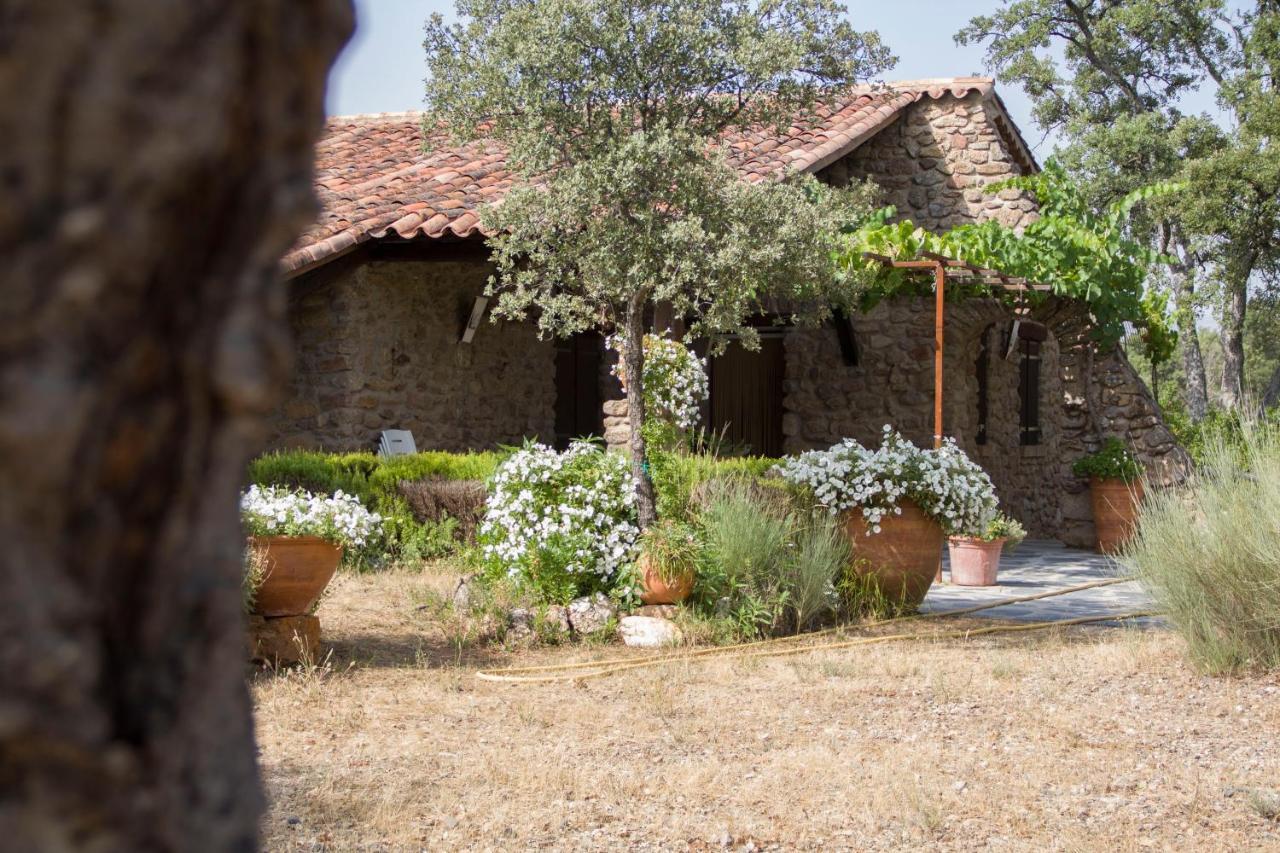 La Simona Holiday home Perales del Puerto